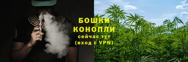 таблы Новозыбков