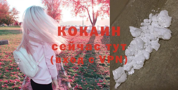 мдпв Новодвинск
