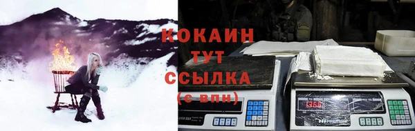таблы Новозыбков