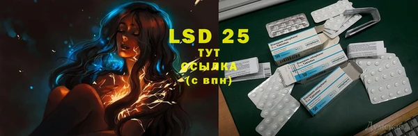 таблы Новозыбков