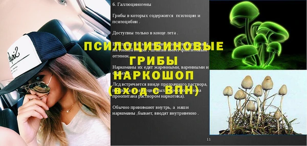 мдпв Новодвинск