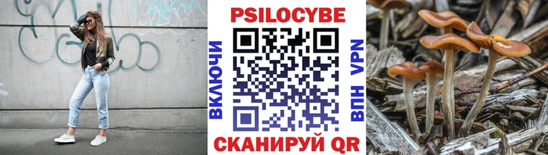 Псилоцибиновые грибы мицелий  где найти наркотики  Стерлитамак 