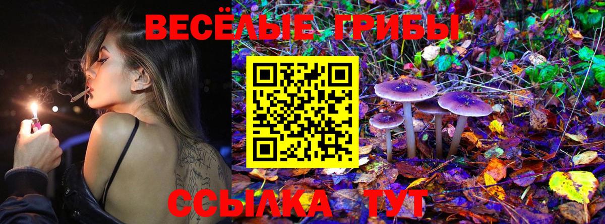 Галлюциногенные грибы Cubensis Стерлитамак