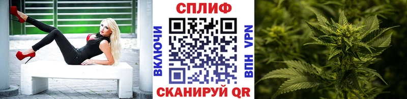 наркотики  Стерлитамак  Канабис планчик 